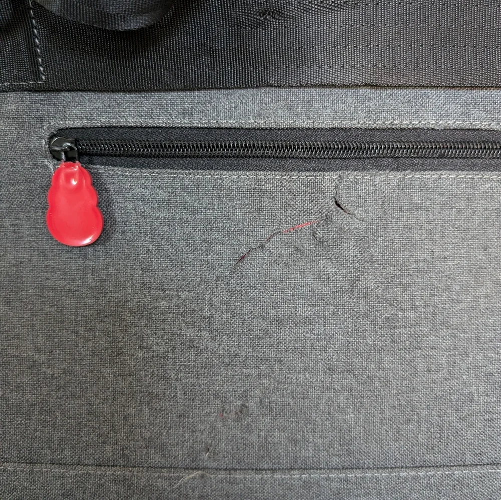 Kong Dog Carrier TSA Approved
